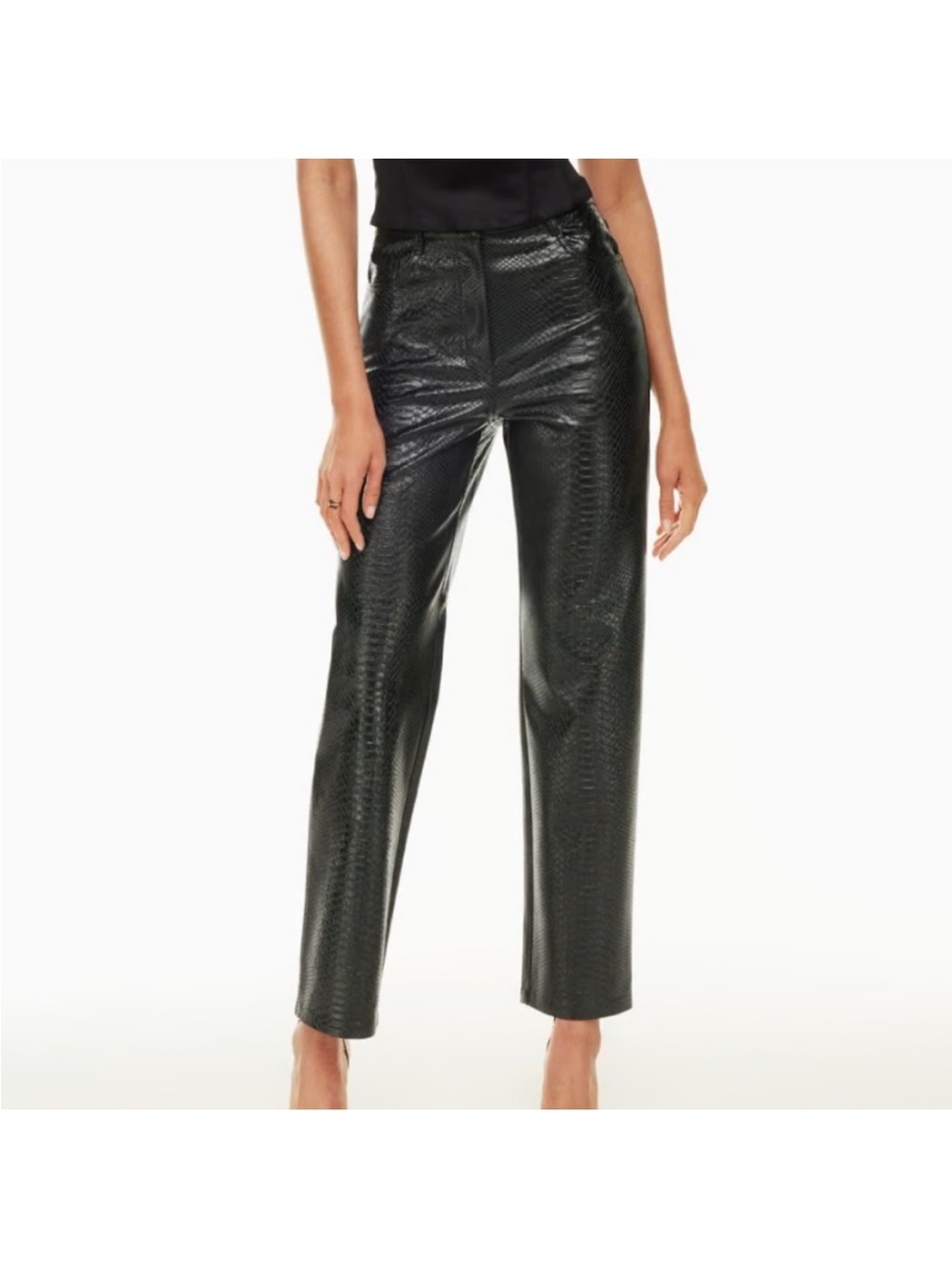 Aritzia Wilfred Melina Python Pants size 6